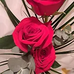 By Didi 4u2sea *