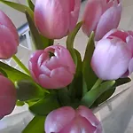 By Didi 4u2sea