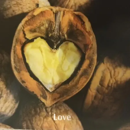 公寓 By Didi 4u2sea *