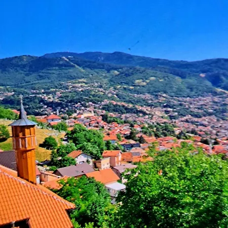 By Didi 4u2sea 塞拉耶佛